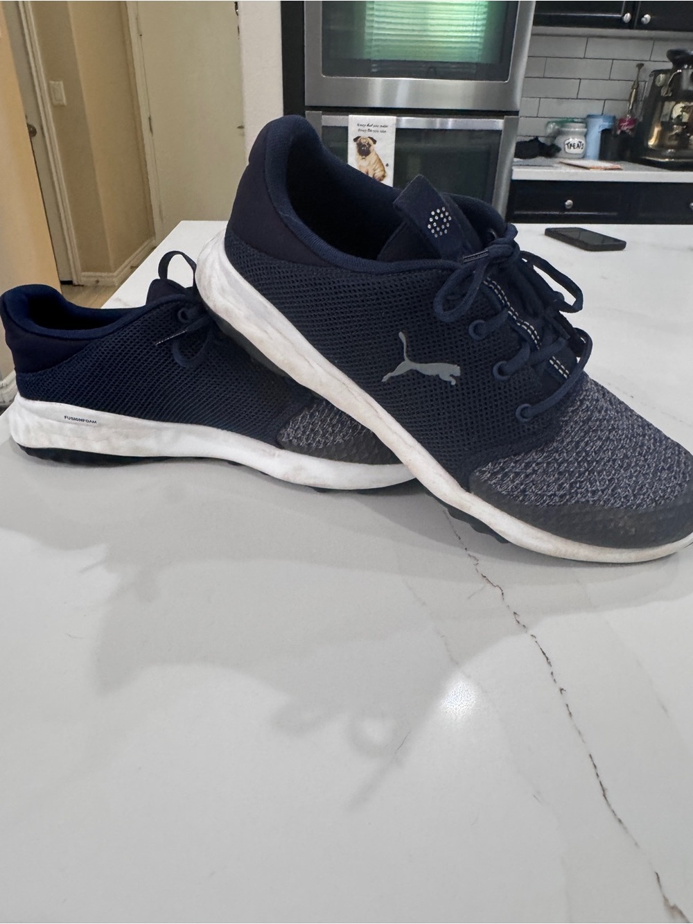 Puma Grip Foam Golf Shoes